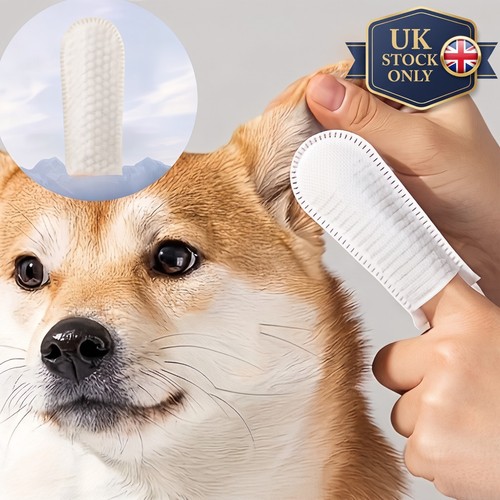 100pcs pet ear cleaning - pet,