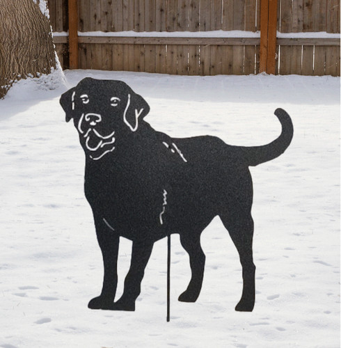 Labrador retriever garden - retriever,