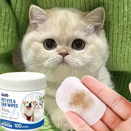 Pets dog cat - dog, wipes