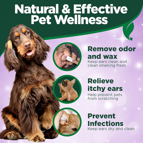 Dog ear cleansing - cleansing, vet's
