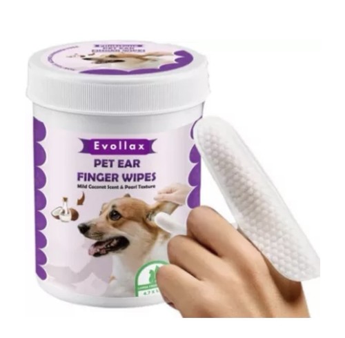 Pet dog ear cleaning - pet,